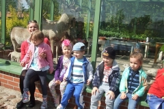 Wycieczka-do-Owinsk-dzieci-3-letnich-12