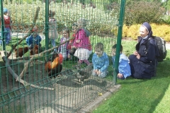 Wycieczka-do-Owinsk-dzieci-3-letnich-16