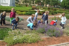 Wycieczka-do-Owinsk-dzieci-3-letnich-9