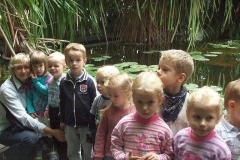 Wycieczka-do-palmiarni-1