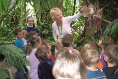 Wycieczka-do-palmiarni-2