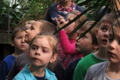 Wycieczka-do-Palmiarni-grupa-Promyczki-i-Aniolki-30.03-12