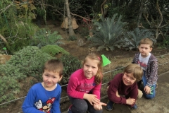 Wycieczka-do-Palmiarni-grupa-Promyczki-i-Aniolki-30.03-13