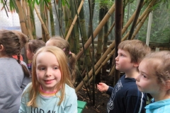 Wycieczka-do-Palmiarni-grupa-Promyczki-i-Aniolki-30.03-18