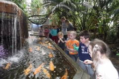 Wycieczka-do-Palmiarni-grupa-Promyczki-i-Aniolki-30.03-2