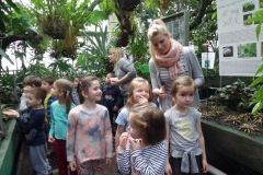 Wycieczka-do-Palmiarni-grupa-Promyczki-i-Aniolki-30.03-24