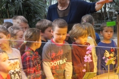 Wycieczka-do-Palmiarni-grupa-Promyczki-i-Aniolki-30.03-26