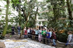 Wycieczka-do-Palmiarni-grupa-Sloneczka-i-Boze-Duszki-30.03-16