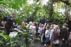 Wycieczka-do-Palmiarni-grupa-Sloneczka-i-Boze-Duszki-30.03-4
