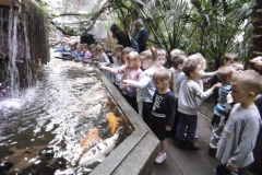 Wycieczka-do-Palmiarni-grupa-Sloneczka-i-Boze-Duszki-30.03-6