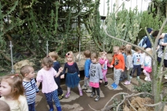 Wycieczka-do-Palmiarni-grupa-Sloneczka-i-Boze-Duszki-30.03-9