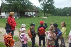 Wycieczka-do-parku-04.06-10