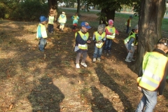 Wycieczka-do-parku-szukamy-jesieni-11