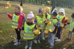Wycieczka-do-parku-szukamy-jesieni-3