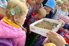 549097855_1522621182240491_7852334100943236017_n