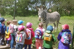 WYCIECZKA-DO-ZOO-08.06-1