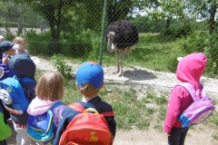 WYCIECZKA-DO-ZOO-08.06-10