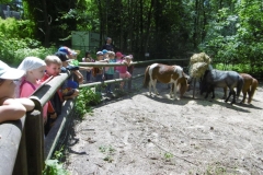 WYCIECZKA-DO-ZOO-08.06-14