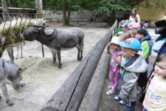 WYCIECZKA-DO-ZOO-08.06-4