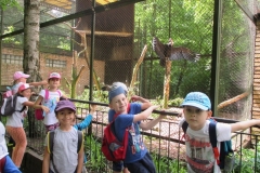 WYCIECZKA-DO-ZOO-08.06-7