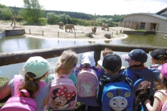 WYCIECZKA-DO-ZOO-08.06-9