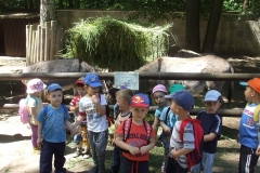 Wycieczka-do-ZOO-5
