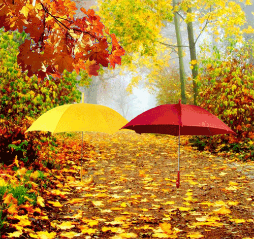 jesien parasolki